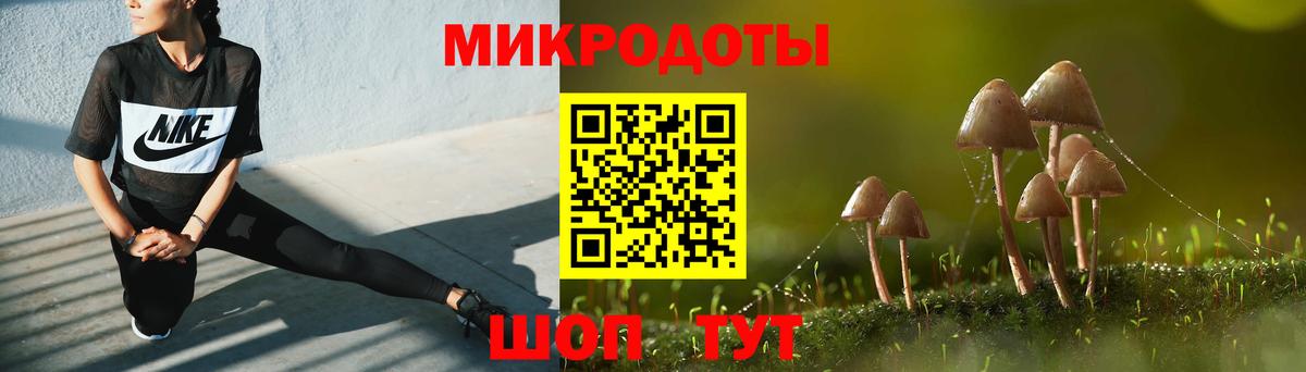 Анапа  Псилоцибиновые грибы Psilocybine cubensis  Вход с VPN 